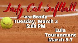 Lady Cat Softball